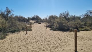 2023-GC-Dunas_Maspalomas-101.jpg